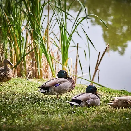 Les Jardins De L'anjou 3*