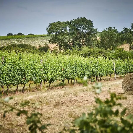 Les Jardins De L'anjou 3* Montjean-sur-Loire