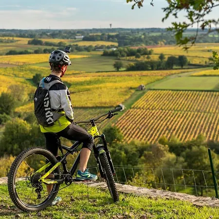 Les Jardins De L'anjou فندق 3*