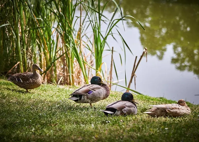 Les Jardins De L'anjou 3*
